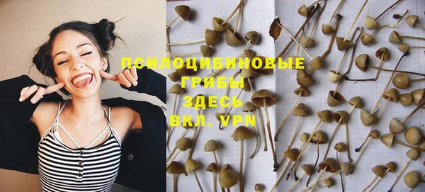ALPHA PVP Киренск