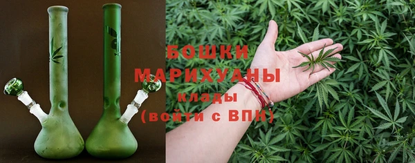ПСИЛОЦИБИНОВЫЕ ГРИБЫ Весьегонск