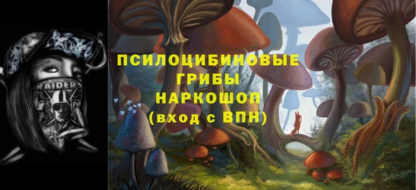 прущие грибы Ветлуга
